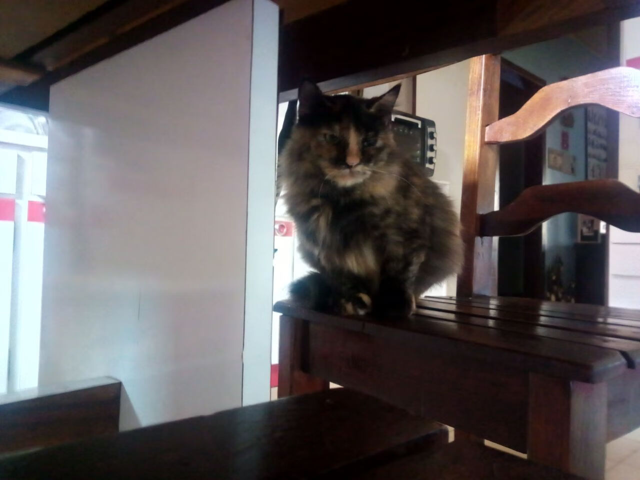 APEX英雄 青年联赛吸引新秀,apex2021比赛