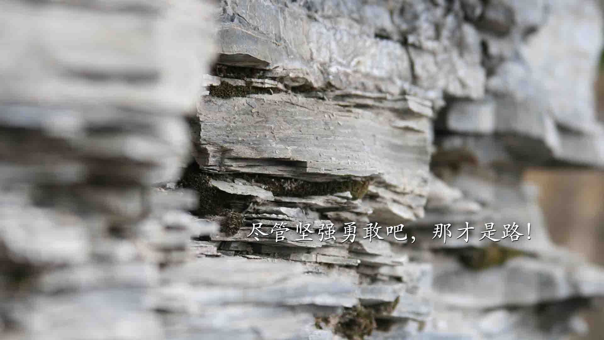 “英超球队奋勇拼搏，争夺高端欧战名额”，英超排名欧冠资格