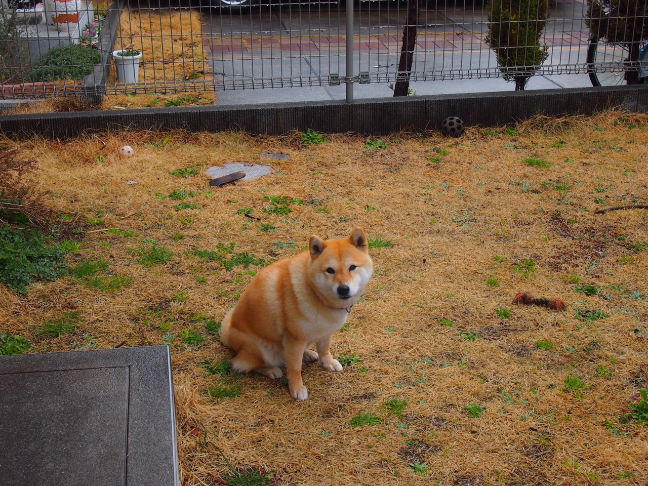 “英超积分战逐渐升温,强队士气高昂”,英超积分榜超