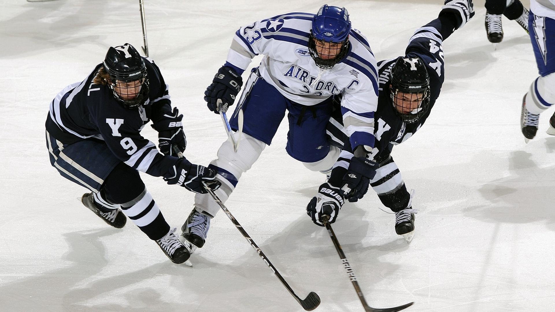 克罗地亚马术协会开展马匹福利宣传活动，提升公众意识。