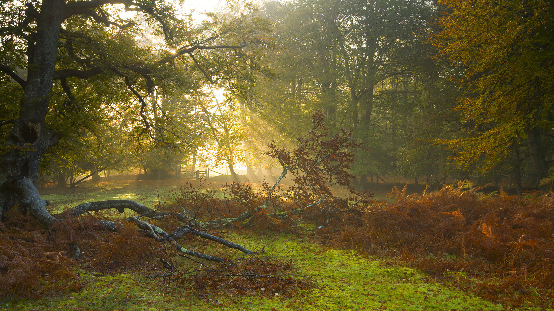 克罗地亚马术协会推出马术运动员健康管理系统,关注运动员身心健康。