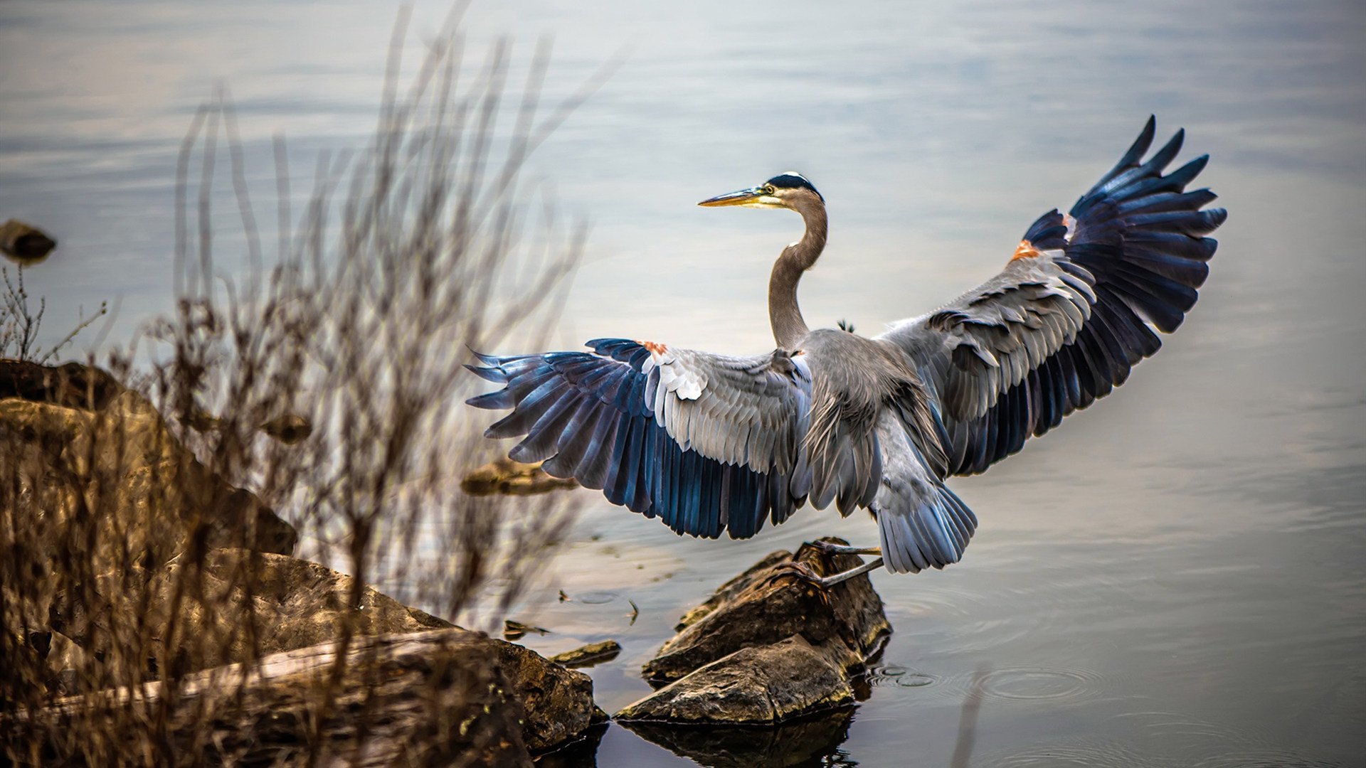 明日方舟“未来领袖”线下明星争霸正式开启,明日方舟未来活动时间表