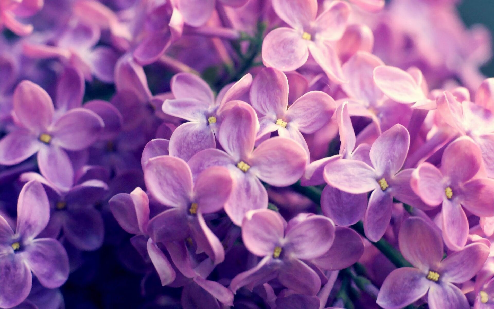 爱游戏下载-法国队止步欧洲杯八强，德尚面临下课压力，欧洲杯f组法国对德国