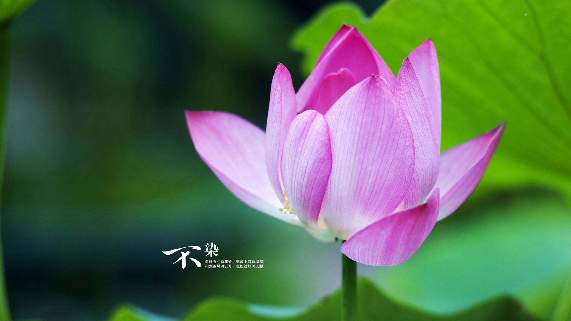 爱游戏体育（AYX）官方APP下载-法国马术队在巴黎奥运会上勇夺团体三项赛银牌，展现强大实力。