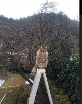 爱游戏综合娱乐-篮球训练装备智能化应用日益普及，篮球训练装备智能化应用日益普及的原因