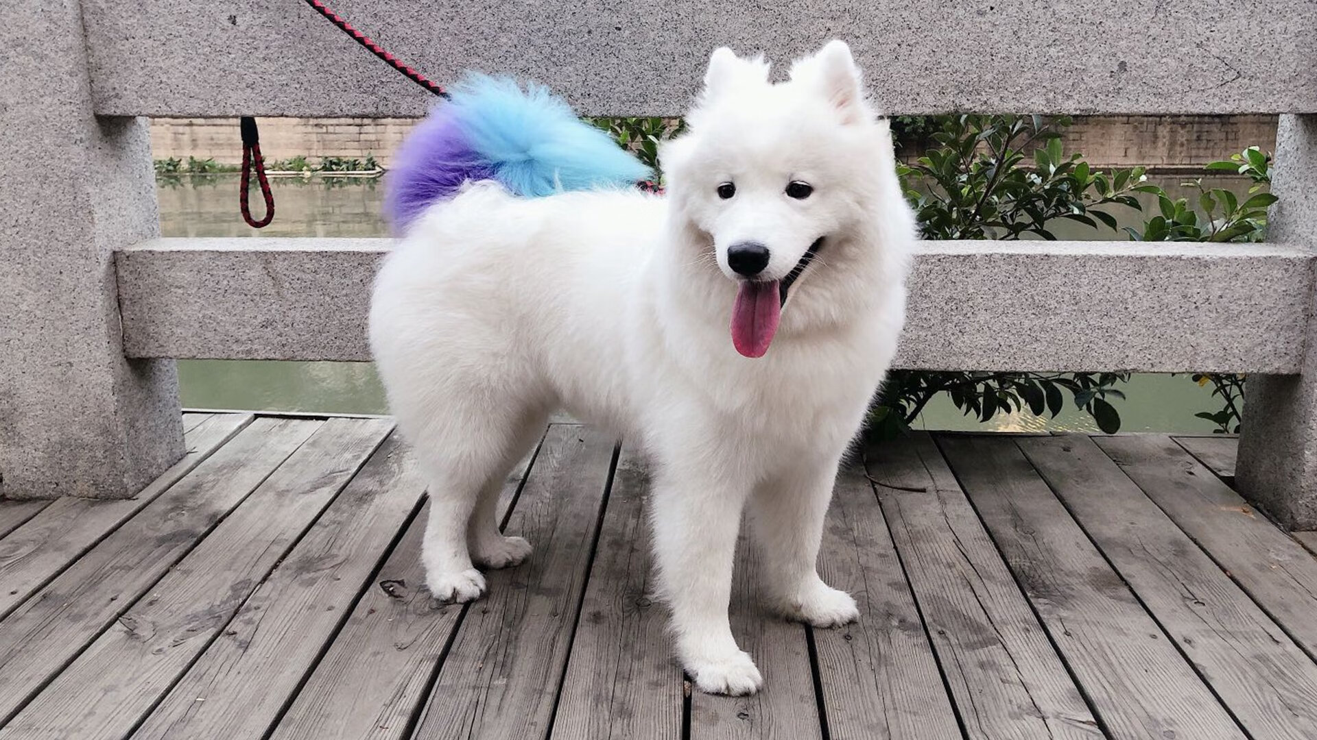 爱游戏体育APP下载-英超豪门引入超级中场，转会费创新高，英超转会期