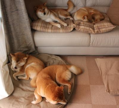 爱游戏在线娱乐官网-英超豪门引援：15+千万收购欧洲顶级中场，英超球队收购价格