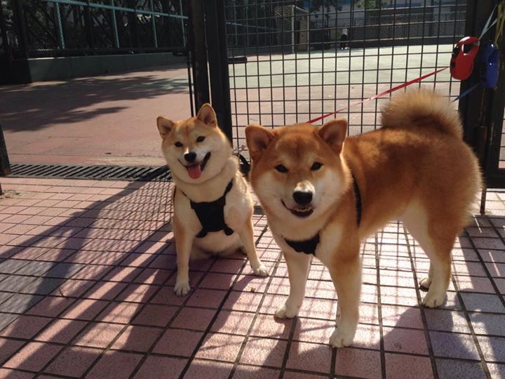 EDG选手转会市场动态,edg2021转会