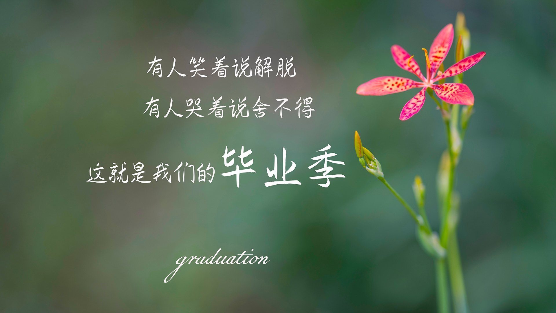 EDG选手转会市场动态,edg2021转会