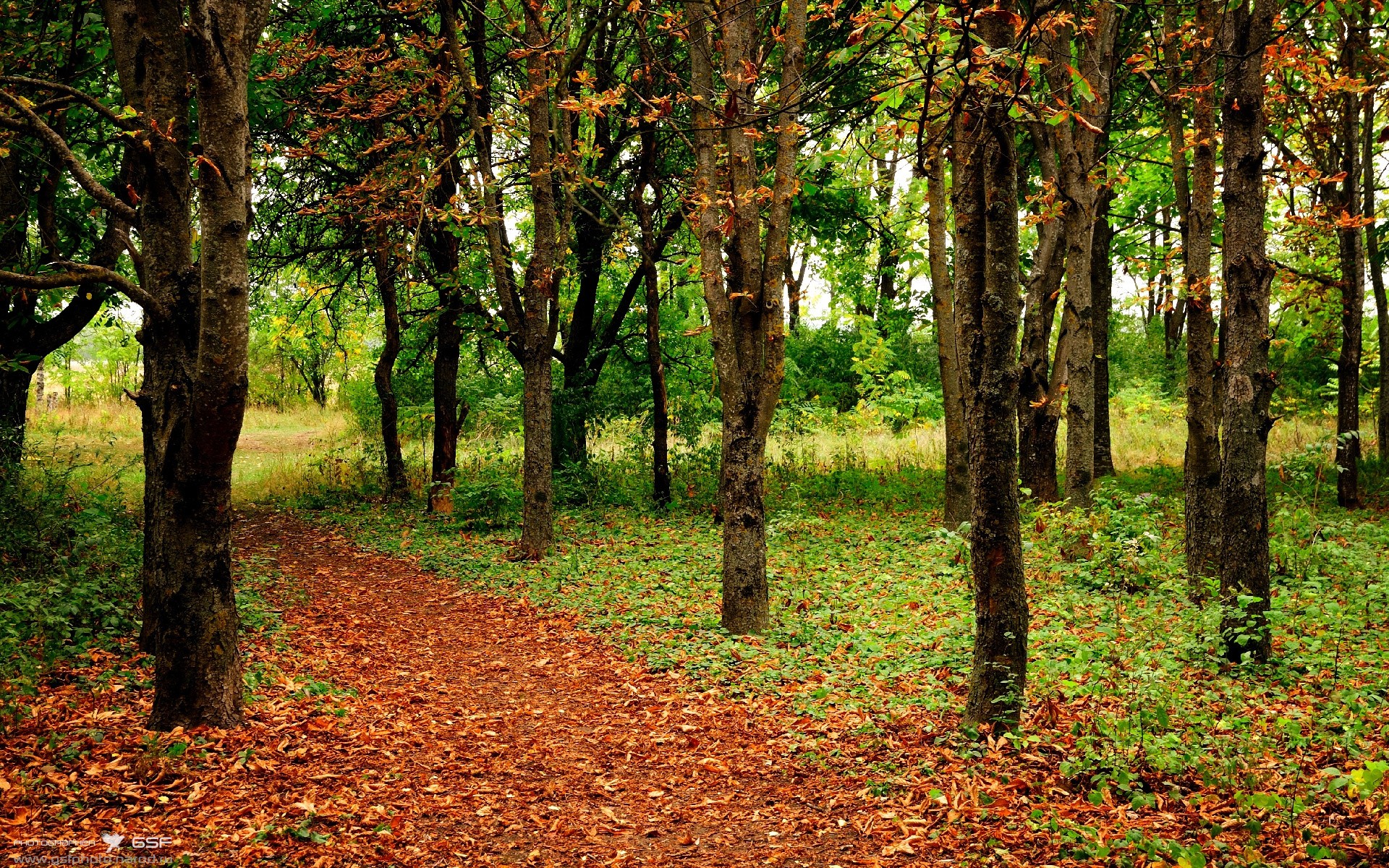 爱游戏app-克罗地亚队突飞猛进！欧洲预选赛赛况汇总！，欧洲杯克罗地亚出局