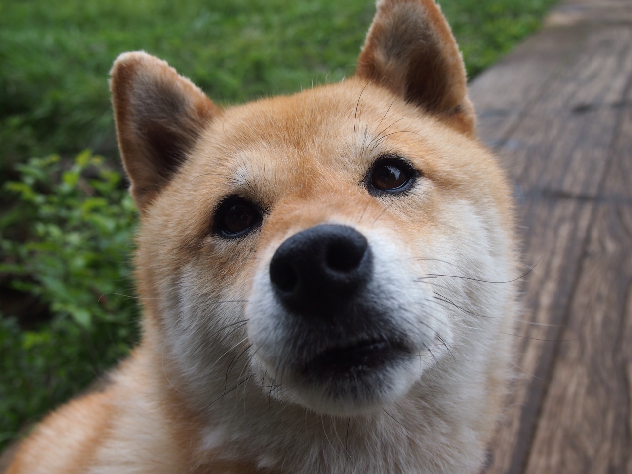 克罗地亚队箭在弦上,掀翻对手夺得胜利,克罗地亚队最新大名单