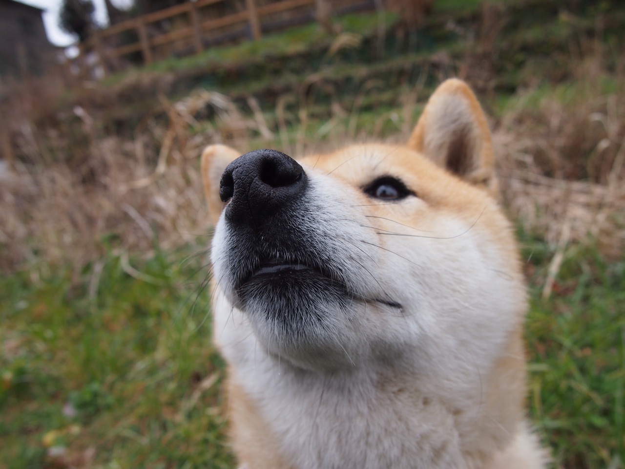 爱游戏官网-尼克斯大胜雷霆，季后赛首轮中布伦森带伤作战，曝尼克斯有意布伦森