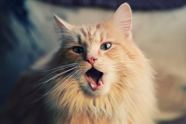 瑞士男足在巴黎奥运会比赛中以2-1战胜阿根廷,瑞士男子足球