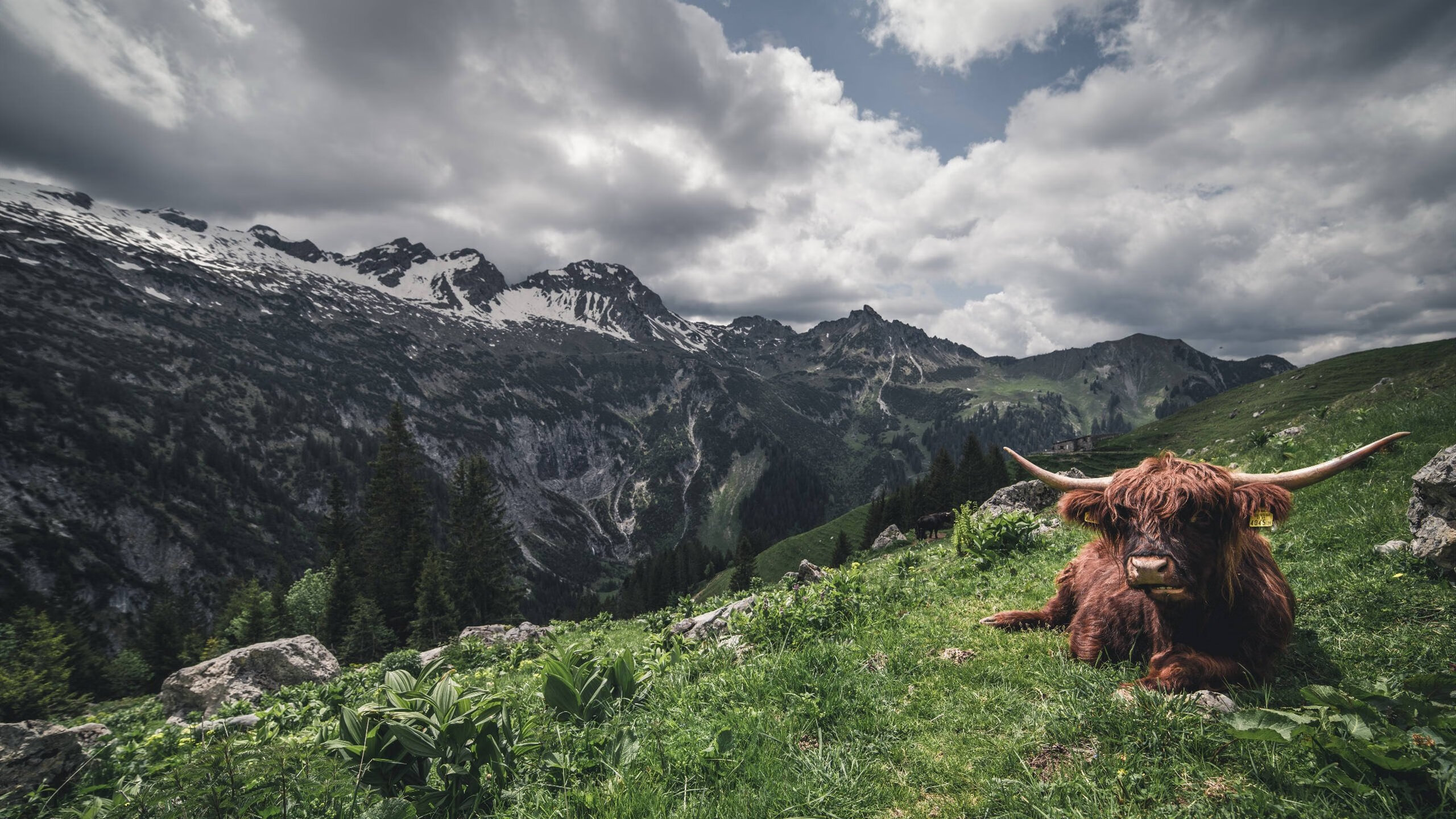 中国足球航母战术研究报告，中国航母战略规划