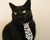 体测数据管理系统推动校园体育数字化,体测数据平台