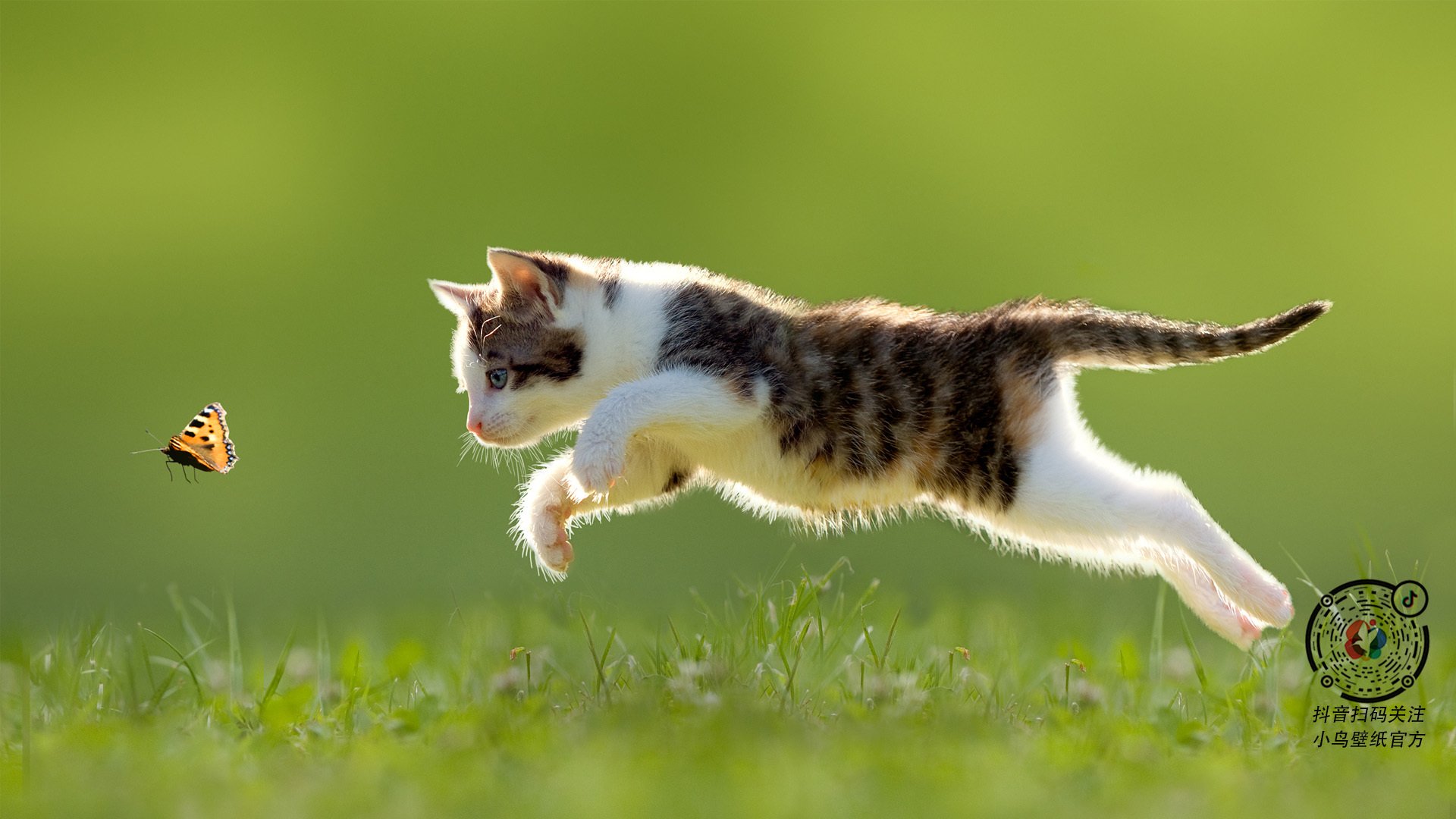 女子百米大战 美国新星跑出世界第一成绩,美国女子百米运动员