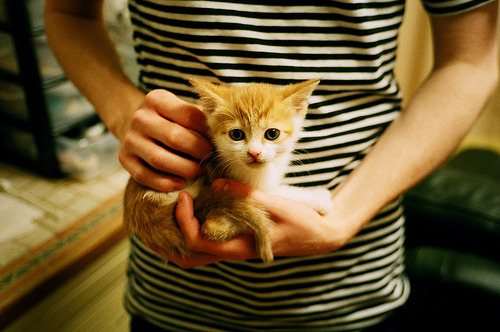 外援赛季表现稳定成为前场重要得分点多次贡献关键进球，本赛季外援政策