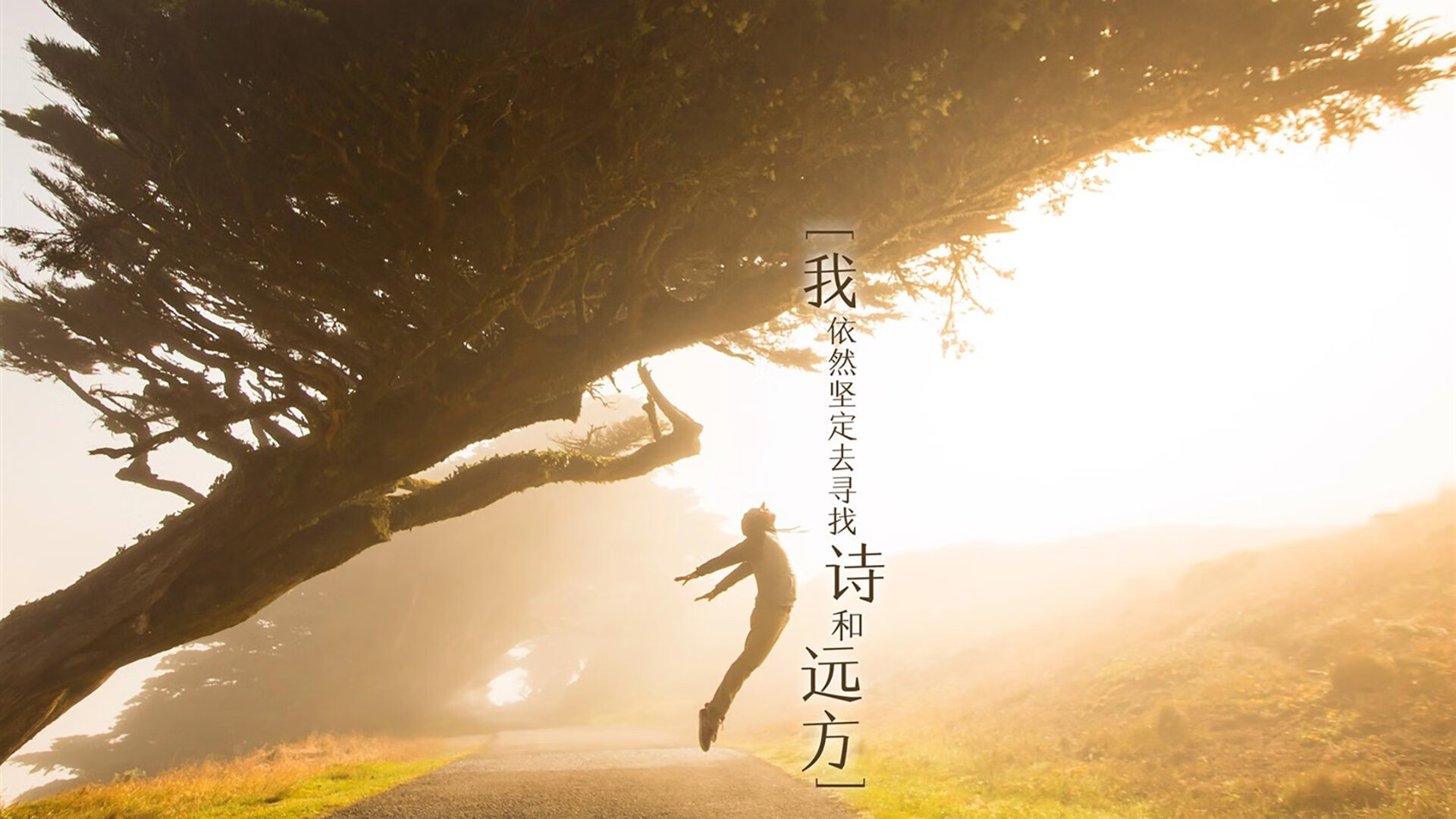 托里·哈斯克冲刺力十足赢得掌声,托里亚斯哈里斯