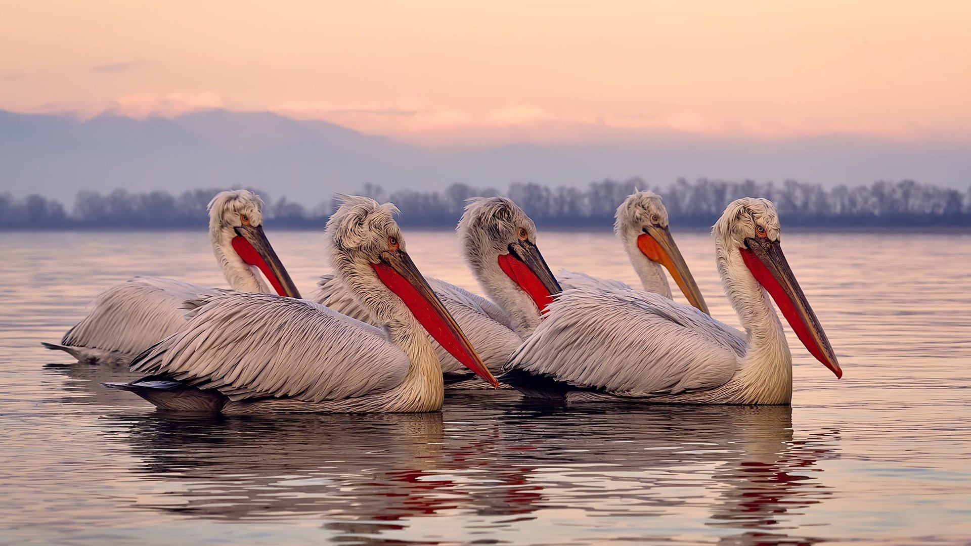 爱游戏体育（AYX）官方APP下载-热火宣布伤员即将回归提升整体实力，热火silva